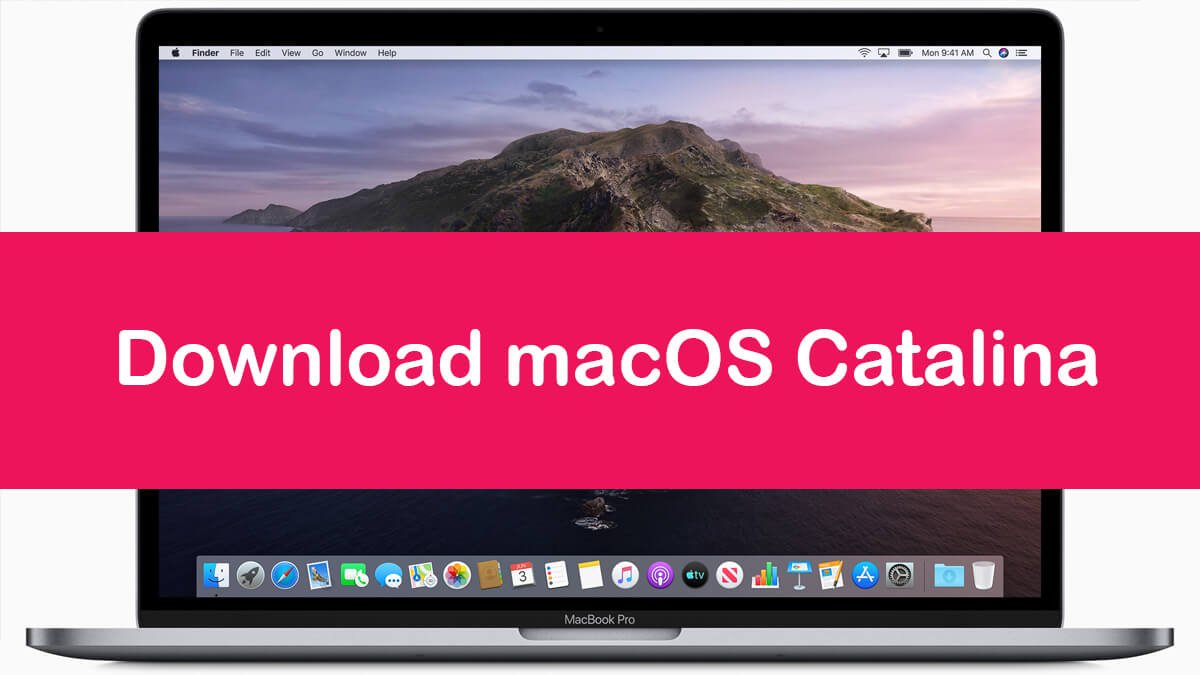 download macos catalina dmg on windows