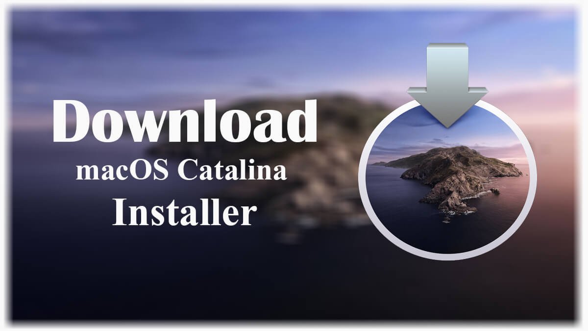 mac catalina installer download